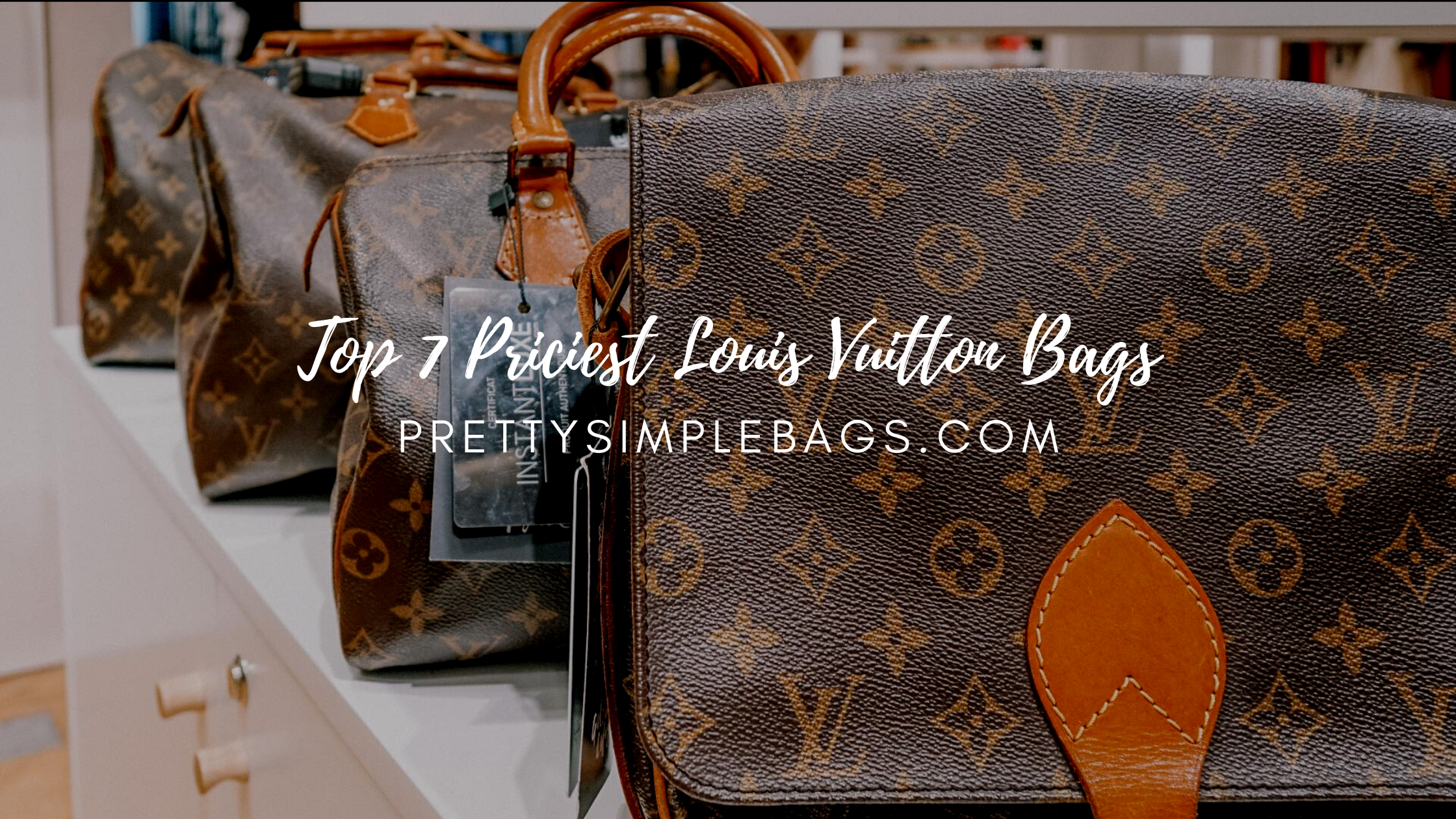 Top 7 Priciest Louis Vuitton Bags