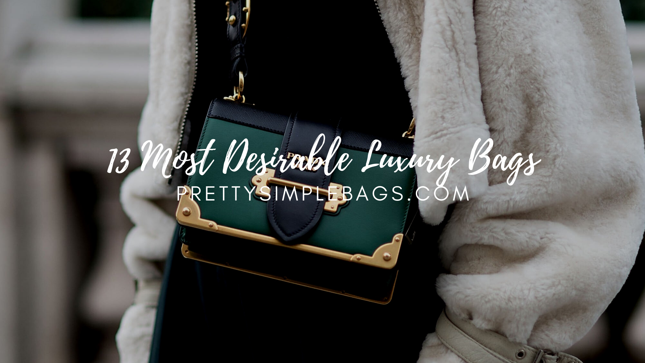 13 Most Desirable Luxury Bags All for Less Than 300 Pretty